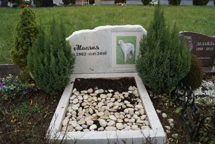 cimitir pentru animale de companie din Moscova, oficial fotografie cimitir pentru animale de companie Khimki