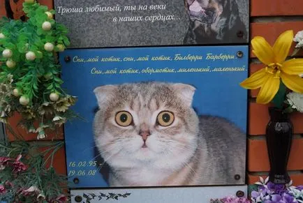 cimitir pentru animale de companie din Moscova, oficial fotografie cimitir pentru animale de companie Khimki