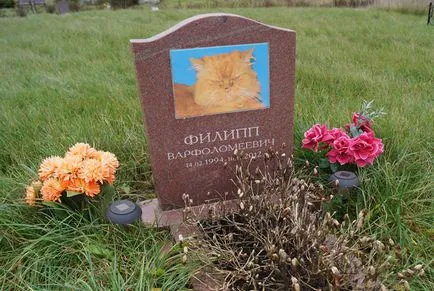 cimitir pentru animale de companie din Moscova, oficial fotografie cimitir pentru animale de companie Khimki