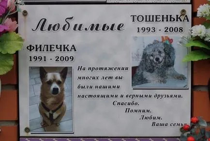 cimitir pentru animale de companie din Moscova, oficial fotografie cimitir pentru animale de companie Khimki