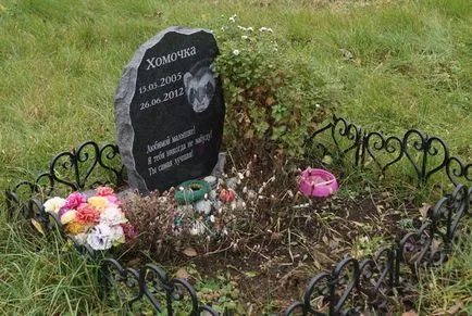cimitir pentru animale de companie din Moscova, oficial fotografie cimitir pentru animale de companie Khimki