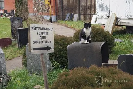 cimitir pentru animale de companie din Moscova, oficial fotografie cimitir pentru animale de companie Khimki