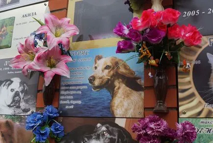 cimitir pentru animale de companie din Moscova, oficial fotografie cimitir pentru animale de companie Khimki