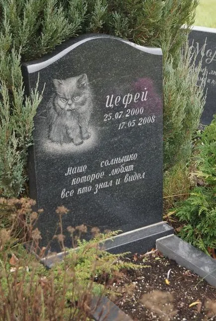 cimitir pentru animale de companie din Moscova, oficial fotografie cimitir pentru animale de companie Khimki