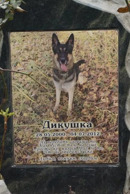 cimitir pentru animale de companie din Moscova, oficial fotografie cimitir pentru animale de companie Khimki
