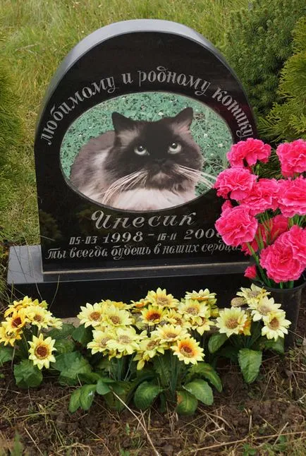 cimitir pentru animale de companie din Moscova, oficial fotografie cimitir pentru animale de companie Khimki