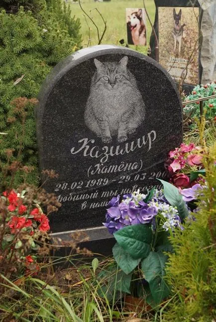 cimitir pentru animale de companie din Moscova, oficial fotografie cimitir pentru animale de companie Khimki