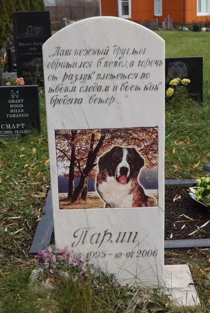 cimitir pentru animale de companie din Moscova, oficial fotografie cimitir pentru animale de companie Khimki