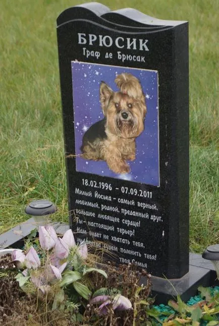 cimitir pentru animale de companie din Moscova, oficial fotografie cimitir pentru animale de companie Khimki