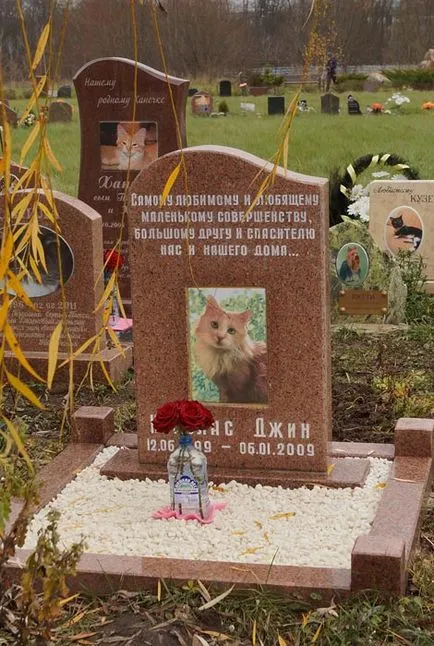 cimitir pentru animale de companie din Moscova, oficial fotografie cimitir pentru animale de companie Khimki