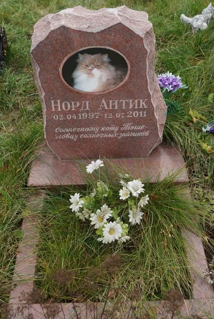 cimitir pentru animale de companie din Moscova, oficial fotografie cimitir pentru animale de companie Khimki