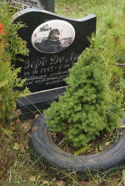cimitir pentru animale de companie din Moscova, oficial fotografie cimitir pentru animale de companie Khimki