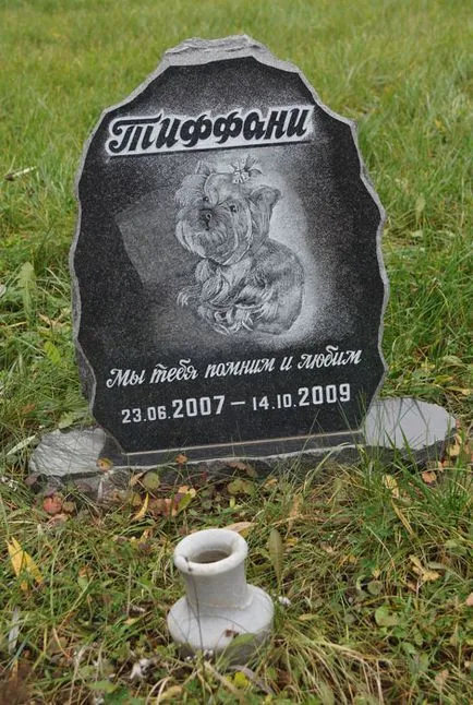 cimitir pentru animale de companie din Moscova, oficial fotografie cimitir pentru animale de companie Khimki