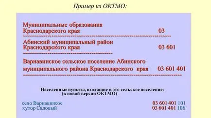 Codul oktmo ce este, decodificarea, spre deosebire de OKATO