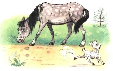 Cartea este despre un copil care a știut cum să numere până la zece (figura (capabil) Cartea este despre un copil care a știut cum să numere până la zece (Figura