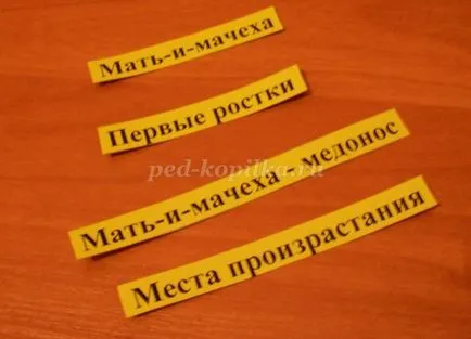 pliante de carte mâinile 1