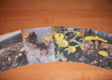 pliante de carte mâinile 1