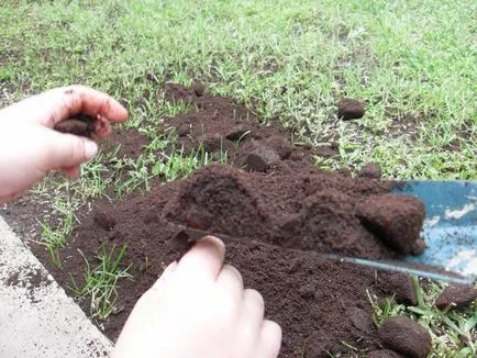 zaț de cafea ca îngrășământ pentru plante și flori evaluări (zaț ca zaț fertilizator ca îngrășământ pentru plante de a utiliza zaț ca îngrășământ) zaț de cafea ca îngrășământ pentru plante și flori comentarii