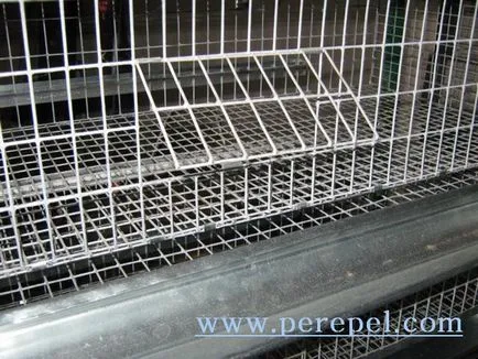 Colivii pentru păsări cu mâinile variant№1 lui (opțional) Colivii pentru păsări cu mâinile sale variant№1