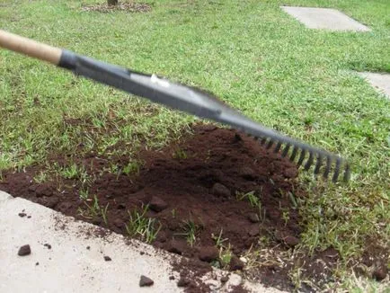zaț de cafea ca îngrășământ pentru plante și flori evaluări (zaț ca zaț fertilizator ca îngrășământ pentru plante de a utiliza zaț ca îngrășământ) zaț de cafea ca îngrășământ pentru plante și flori comentarii