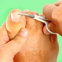 piersicile conservate în sirop - toate opțiunile video de preparate (sirop) piersicile conservate în sirop - toate opțiunile pentru preparare video de