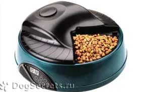 Câine alimente preț super-premium, comentarii