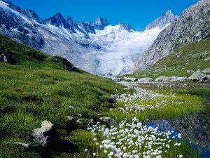 Clima continentală, clima mondială