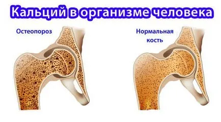 indicații Cordyceps și instrucțiuni de utilizare, preț, analogi, comentarii