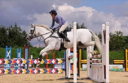 Jumping - un aspect prestigios și elegant al sportului ecvestru