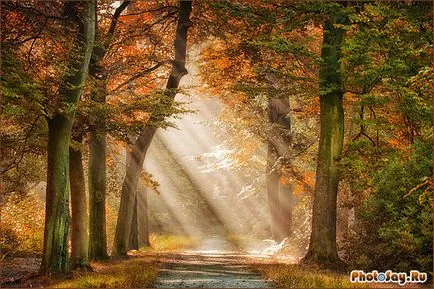 Iluminare din spate în imagini!