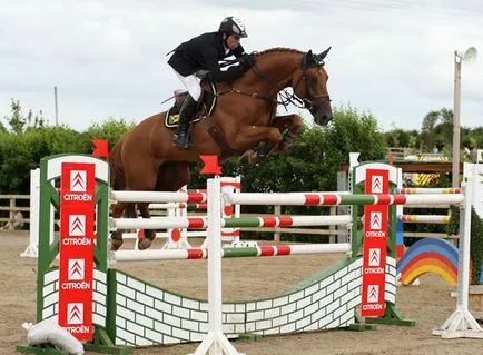 Jumping istorie cai, înregistrări, și alte obstacole (al doilea război mondial) Sărituri istorie cai, înregistrări, și alte obstacole