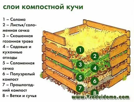 Compost cu mâinile lor, într-o cutie (desen), site-ul de grădină, cabana și mâinile (Plante de casa) Compost cu mâinile lor, într-o cutie (desen), site-ul de grădină, cabana și plante de apartament