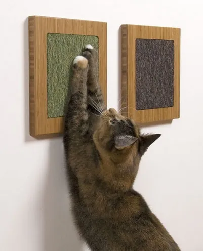 Cat Casa pentru pisici aristocrate