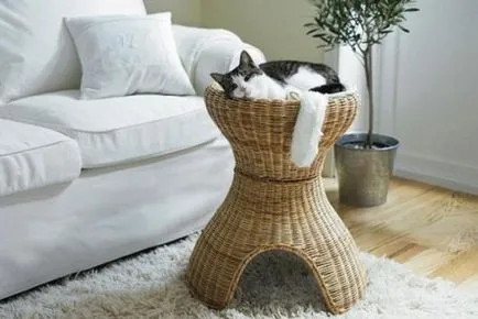 Cat Casa pentru pisici aristocrate