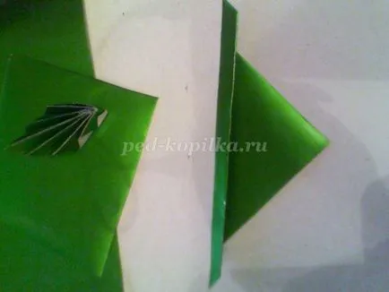 Buchet de flori cu propriile sale mâini (cu Masterclass lor mâini) Buchet de flori cu propriile sale mâini
