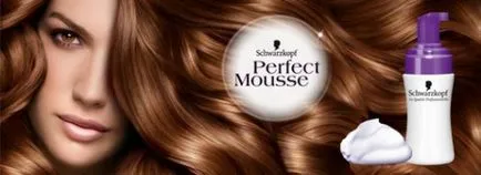 spuma de colorare a părului Schwarzkopf Palette Mousse perfectă