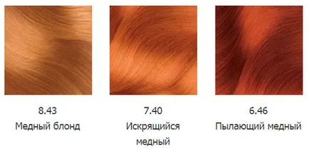 Par Dye Garnier (garnier) - paleta de culori (foto) (Garnier) Par Dye Garnier (garnier) - paleta de culori (foto)