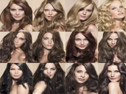 de colorare a părului Schwarzkopf Mousse spumă perfectă, fără amoniac, compoziție, paleta, pret, comentarii, cum