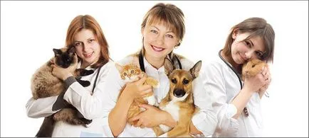 Cine e la veterinar și ce face