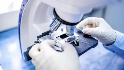 Cine și când a inventat microscopul