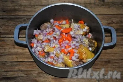 Pui, fiert felii cu ceapa si morcovi - reteta cu fotografii