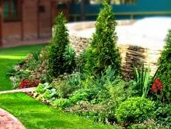 Amenajare a teritoriului temă zonă de proiectare parc cele mai bune soluții