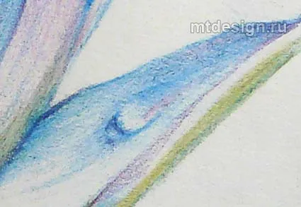nufăr creioane acuarelă, mtdesign