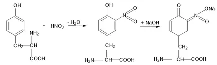 Lab № reacții de culoare 7 proprietăți de proteine ​​pentru proteine ​​și aminoacizi