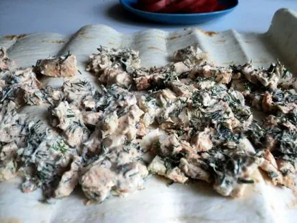 Pita pâine cu carne de pui place să gătească