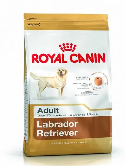 Labrador Retriever, un lucrător canadian