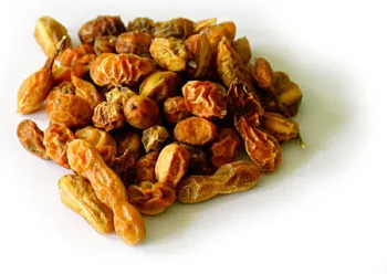 Tratamentul de remedii populare tractului gastro-intestinal (tratament trebuie) Tratamentul de remedii populare tractului gastro-intestinal