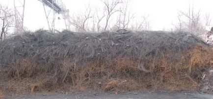 cordoane metalice Resturi anvelope (cordon de oțel)