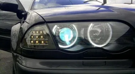 Linzovannaya descriere lampă și beneficii