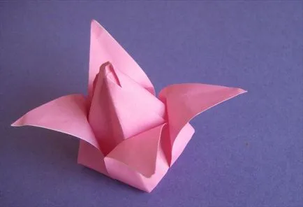origami ușoară pentru copii și adulți (origami) origami ușoară pentru copii și adulți